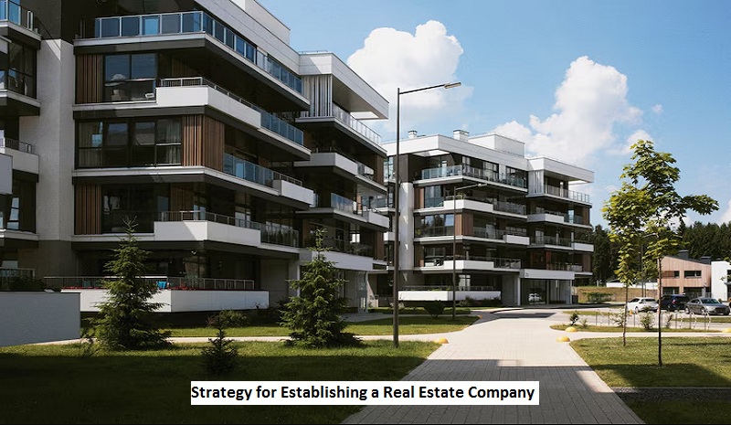 Strategy for Establishing a Real Estate Company